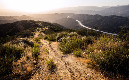 Hiking for Nature Lovers: L.A.